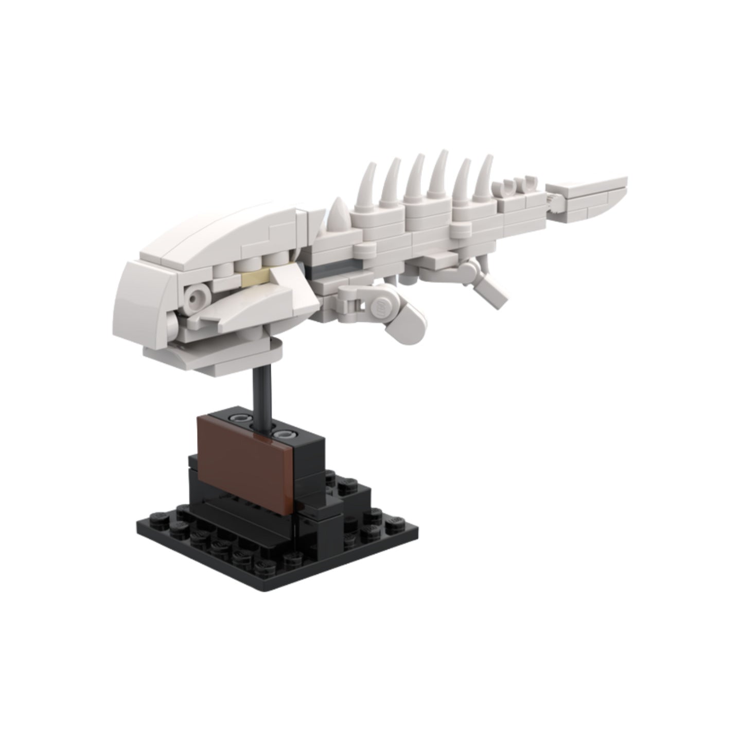 plesiosaurus and an armoured fish fossils building set | moc-43223 - 2